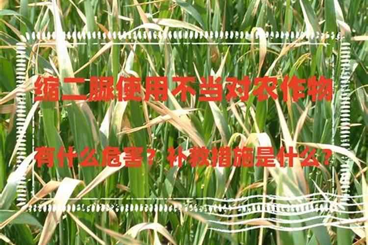 含有缩二脲的高农度流酸钾复合肥种西瓜可以吗