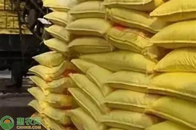 玉米是否应该冲施钾肥呢？