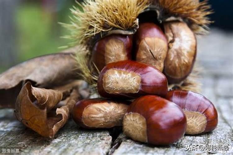 板栗空壳怎么解决