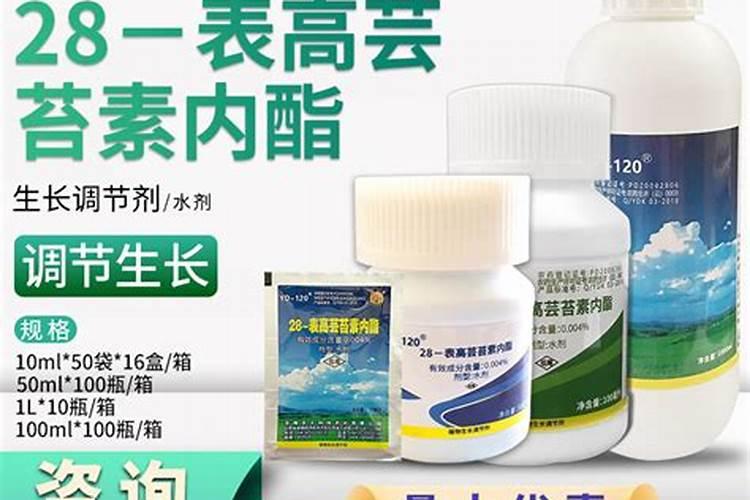 “万能”的芸苔素内酯,你用对了吗？附最全使用方案