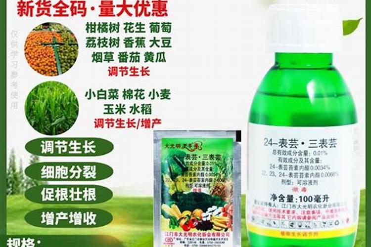 芸苔素在南疆什么地方有卖的