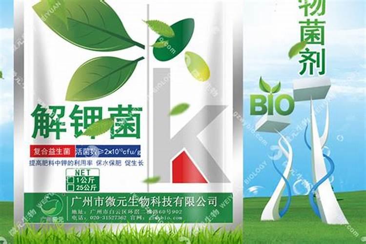 瓜蒌生态种植方案