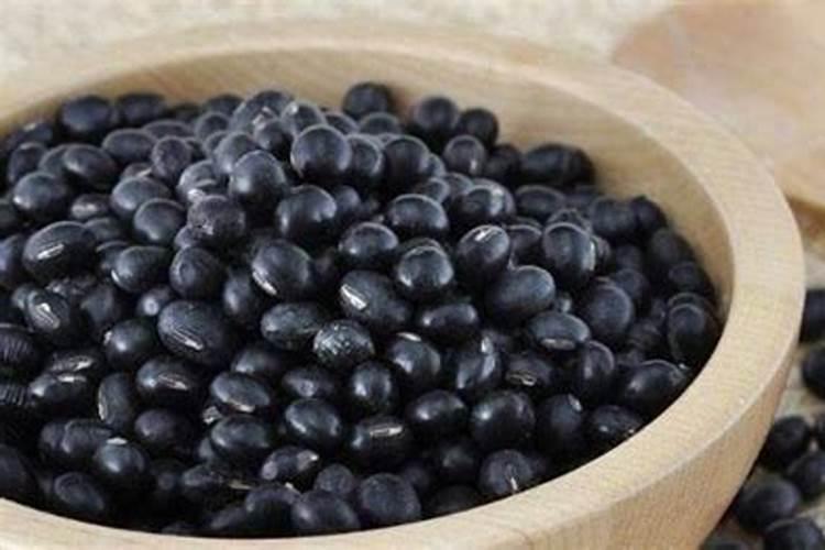 黑豆能做花肥吗 黑豆可以当肥料养花吗