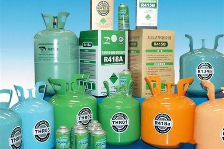 在室内什么花最好养,可以吸尘。有香味,而且很好看。