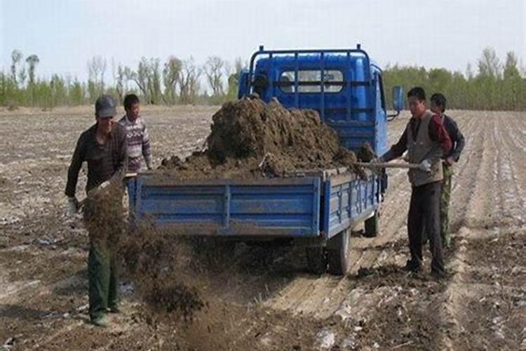 这三种肥料千万不要用,谁用谁吃亏