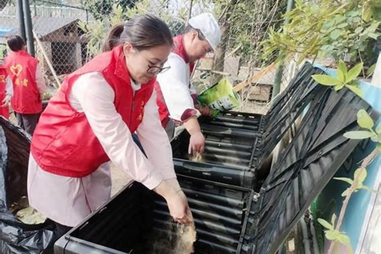 菜叶变有机肥放什么菌种好