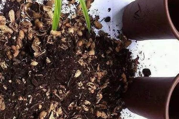 宜春必买的十大特产