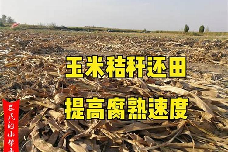 豆茬玉米茬秸秆还田是发酵成钾肥了吗？