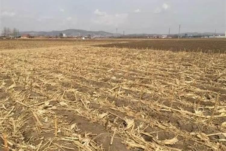 秸秆还田还需上钾肥吗