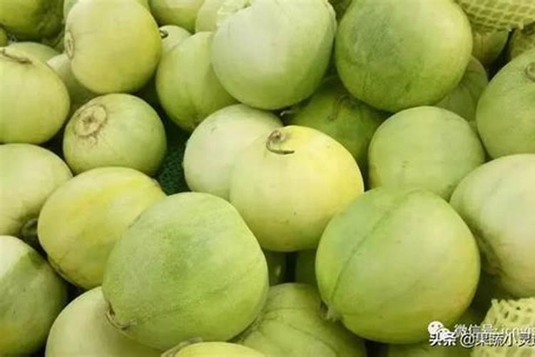 香瓜膨果期保产增收的施肥建议这样做