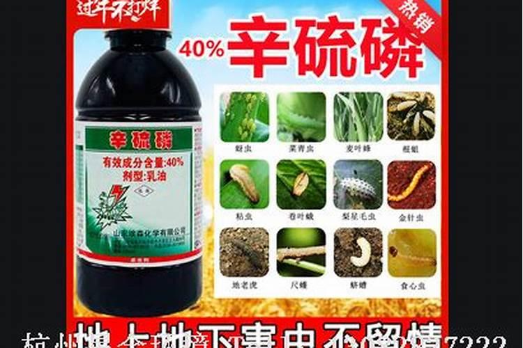 腐植酸肥料的作用和使用方法,腐植酸是什么东西