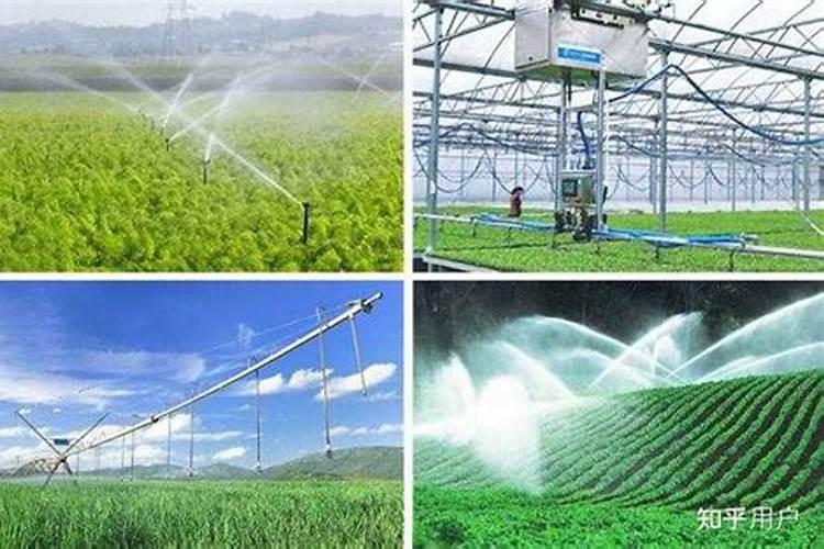 4个月了水肥应该如何解决呢？