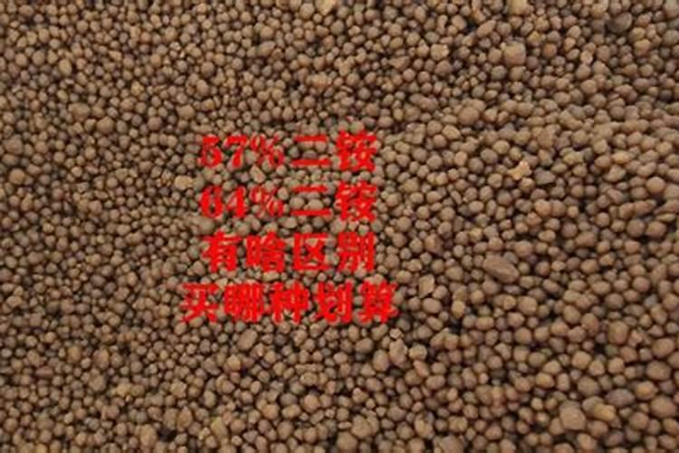 撒可富磷酸二铵多少钱一袋