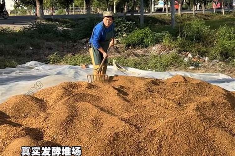 菜籽饼是什么肥料