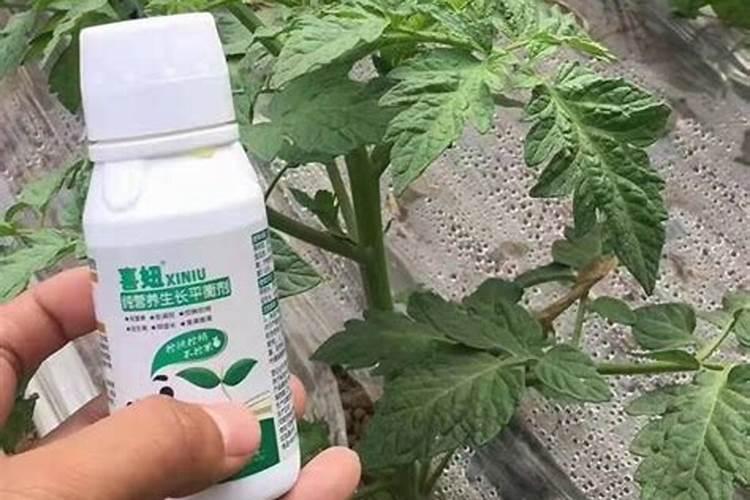 如何正确使用磷酸二氢钾