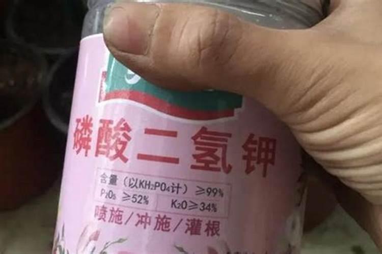 尿素可以喷施叶面肥吗