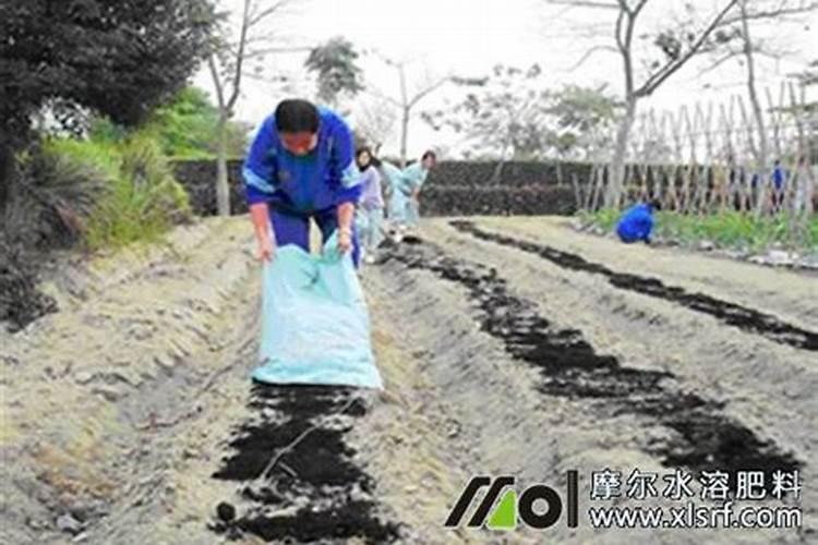 水溶肥需要浇透吗