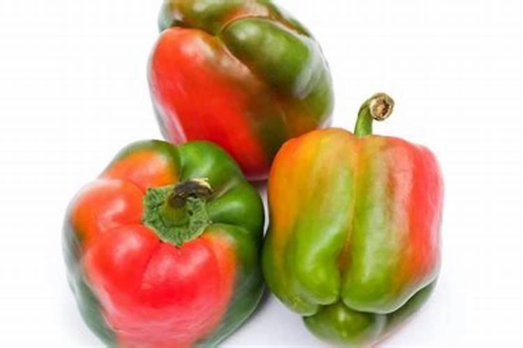 种植青椒应该如何施肥？记住这几点!