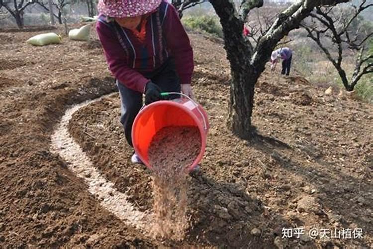 复合肥哪个品牌复合肥最好