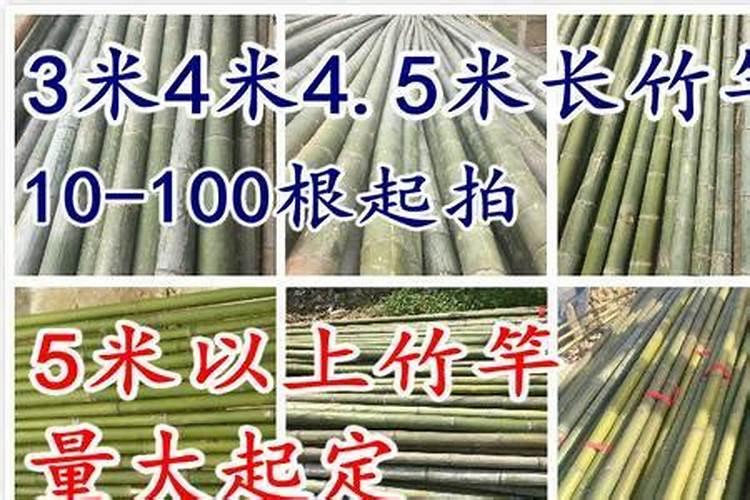 竹子种植如何施肥