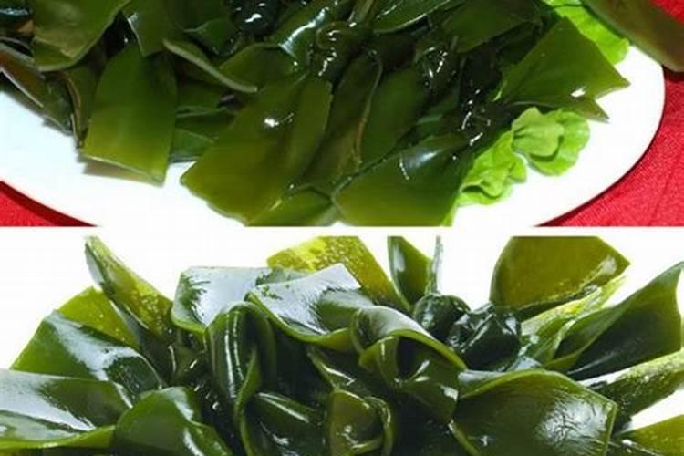 化肥烧根可以用活力藻吗？注意什么 ？