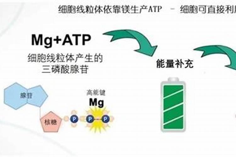 有机肥使用效果总不好？主要是你不懂这些“道”!