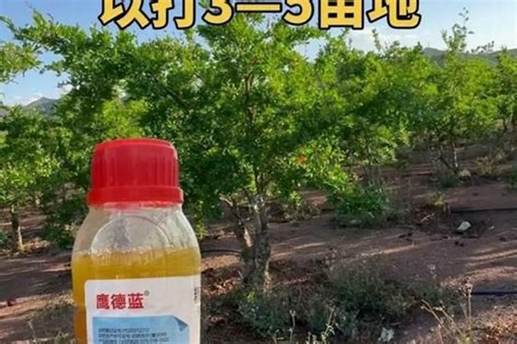 治疗花生根腐病用什么药最佳？
