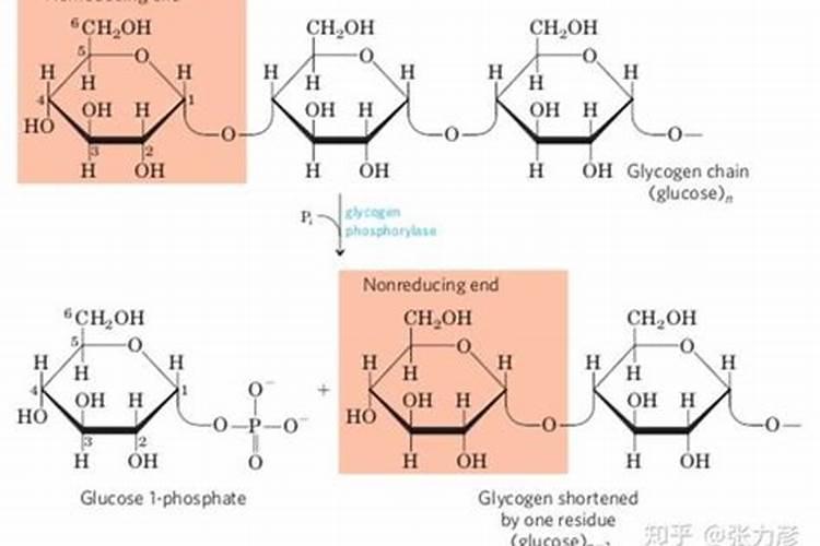 醋醋和杀虫剂杀菌剂可以混合配吗