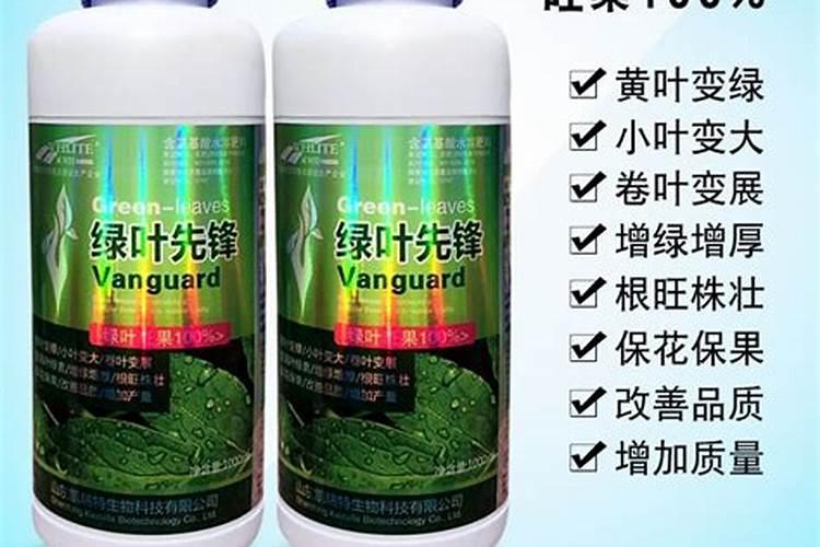 绿叶神露得叶面肥怎么样