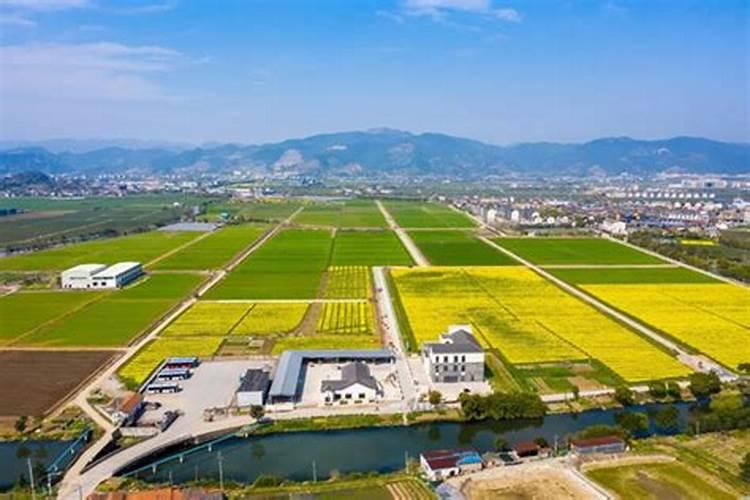 这个罗布泊水稻专用肥方案到底有啥不一样？