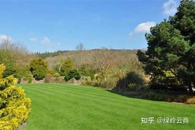 草坪的最佳施肥时期在什么时候 草坪什么时候施肥好