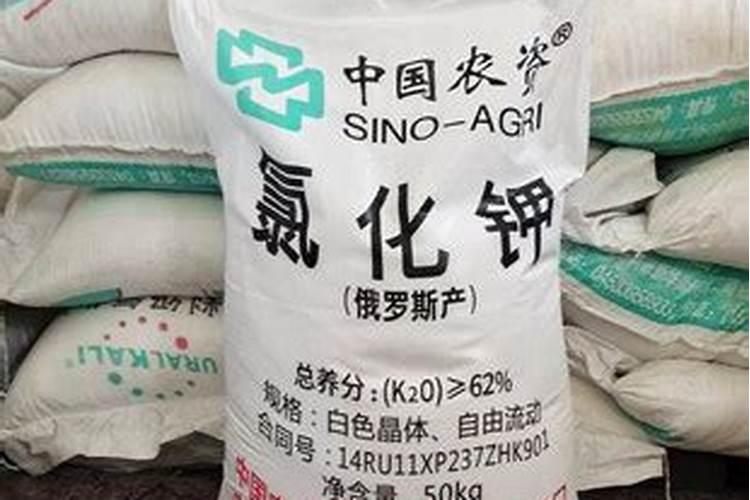 我国生产盐的上市公司有哪几家？