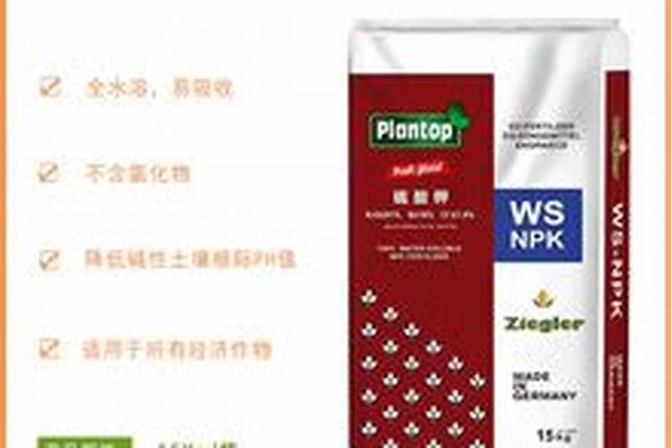 新疆盐湖主要矿产