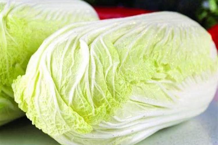 白菜苗打药打重了白菜心叶子糊了多久能恢复