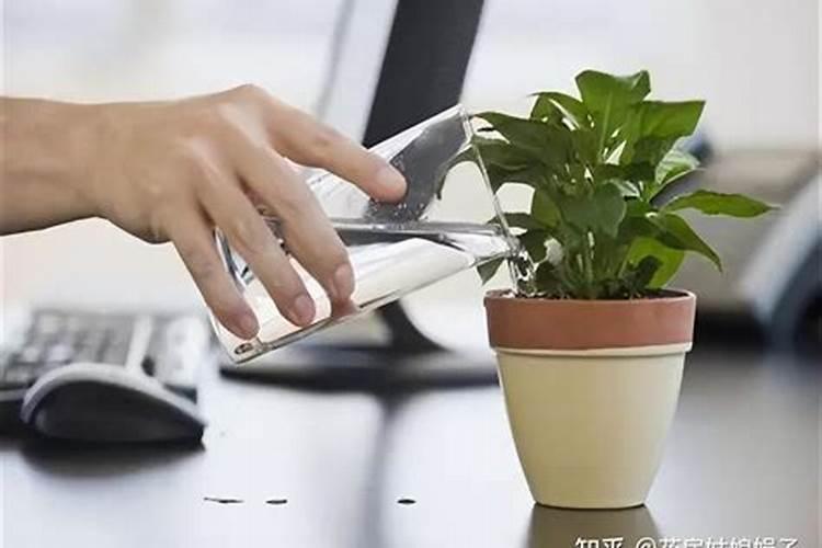 磷肥可以兑水浇花吗 磷肥对花卉的作用是什么