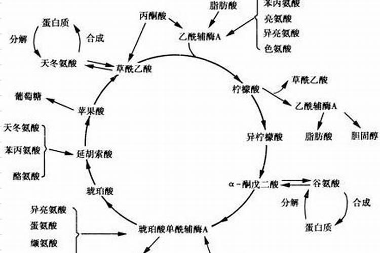 你觉得氮肥跟水果的甜度有关系吗？