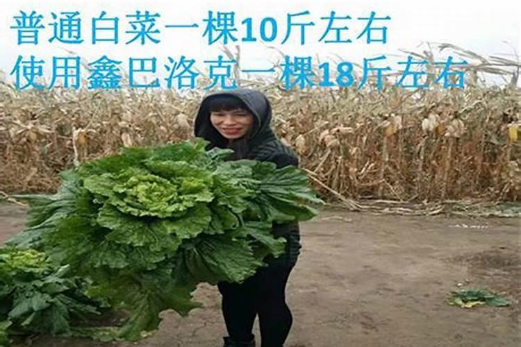 有毒吗？有毒就不能第二个所以硫酸钾和硫酸铵不能用第二个区 分百度知...