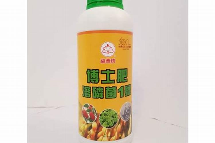 辣椒苗床期用什么肥料壮苗长得快