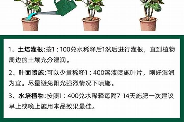 橘子树在开花的时候怎么施肥呀