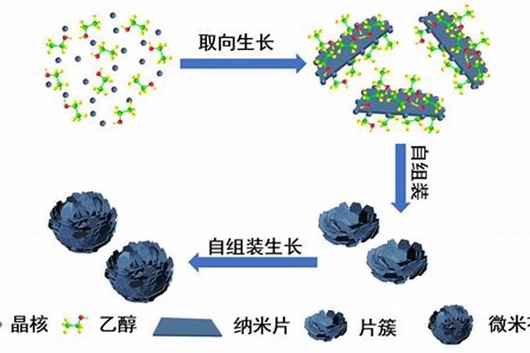 养殖栀子花如何避免经常落花蕾