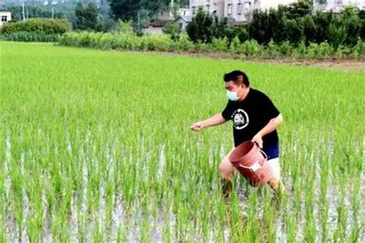 钙肥不能和哪些肥料共用