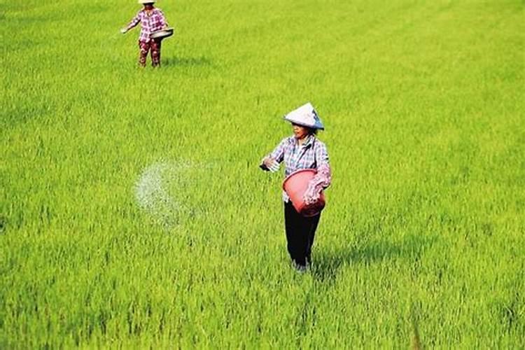 都说在农村卖化肥的利润大,一袋化肥能够赚多少呢？
