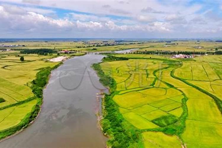 钾肥怎么用效果最好