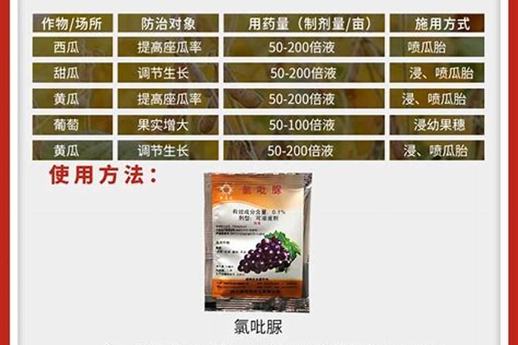 藤稔葡萄种植技术