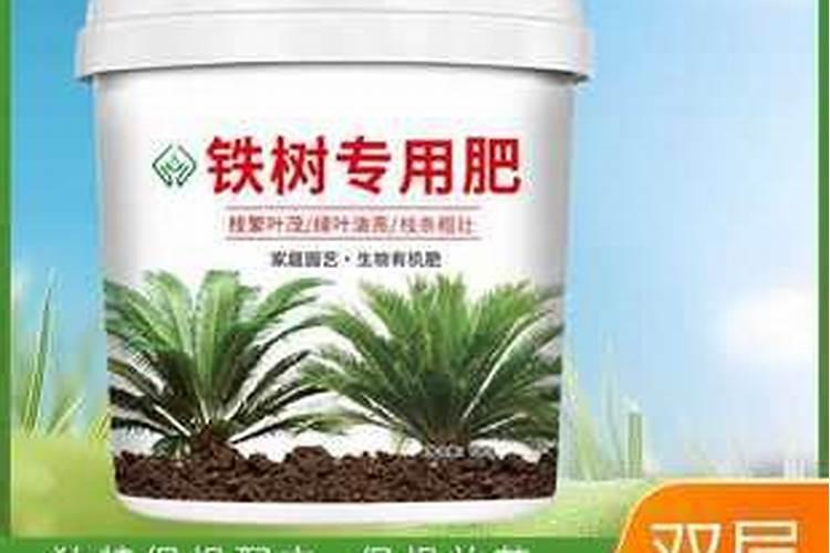 铁树施什么肥