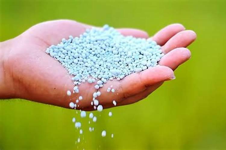在使用水溶肥时,都有哪些注意事项要知道？