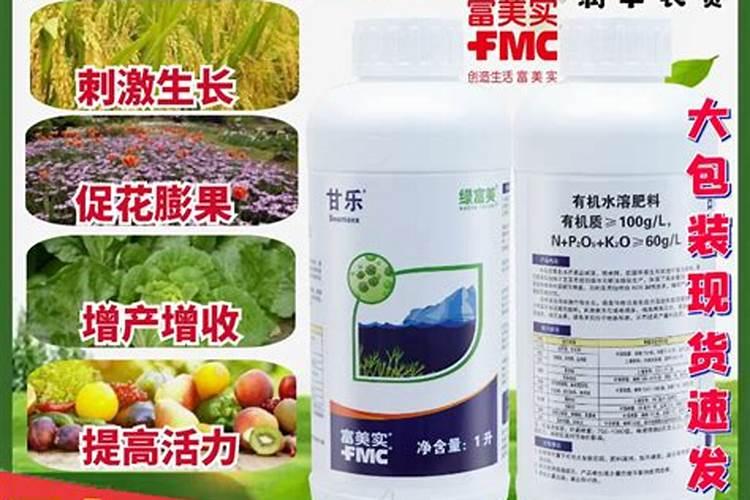 大棚西瓜种植后遇低温连阴天怎么管理