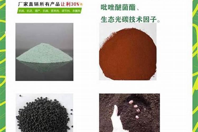 荔枝施什么肥料最好