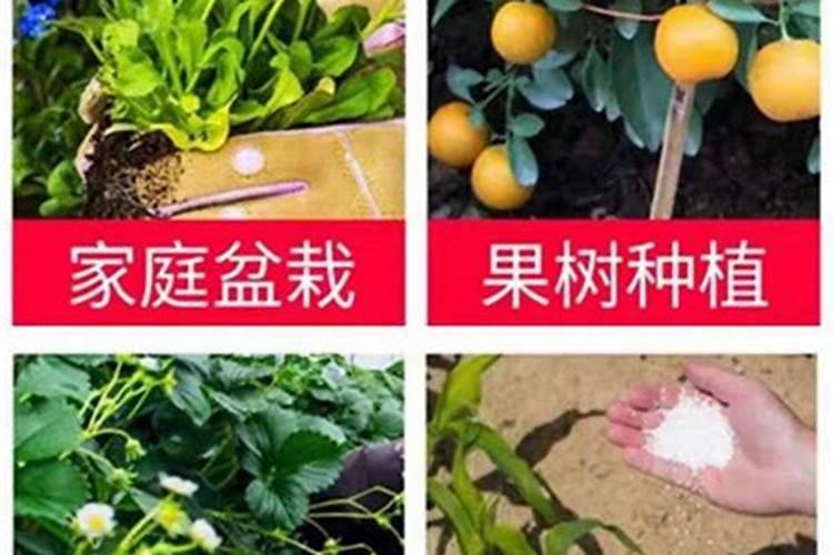 种花施肥口诀 各种花的施肥方法