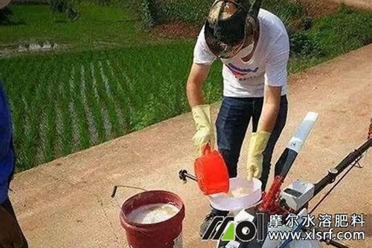 水溶肥的正确的兑水比例